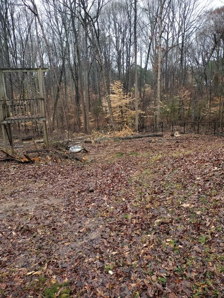 Reliable landscape design near you across Charlotte, NC - Spaulding Tree Service