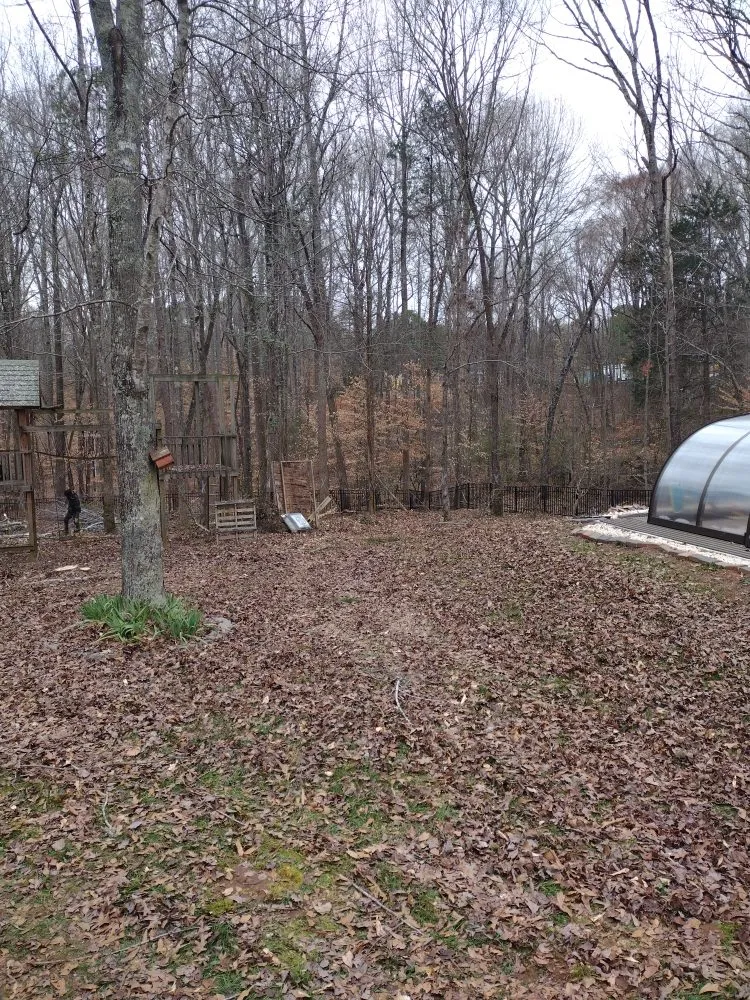 Affordable outdoor landscaping in Charlotte, NC by Spaulding Tree Service