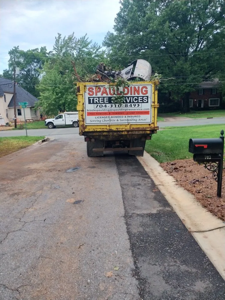 Top-rated lawn mowing service in Charlotte, NC - Spaulding Tree Service