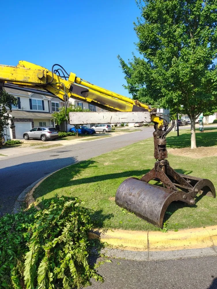 Expert yard maintenance for beautiful yards across Charlotte, NC - Spaulding Tree Service