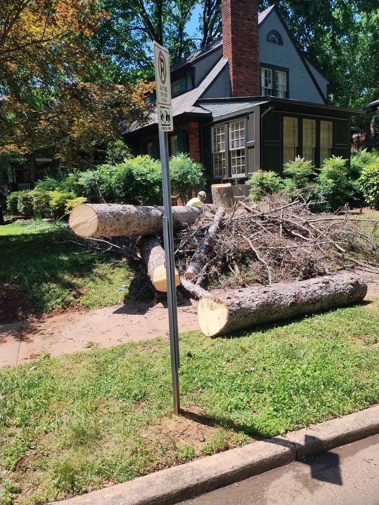 Top-rated landscape design in Charlotte, NC - Spaulding Tree Service