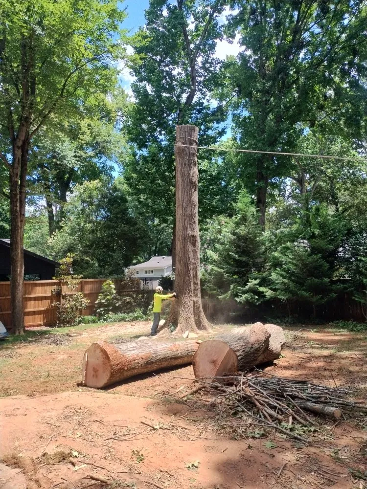 Professional lawn care service in Charlotte, NC by Spaulding Tree Service