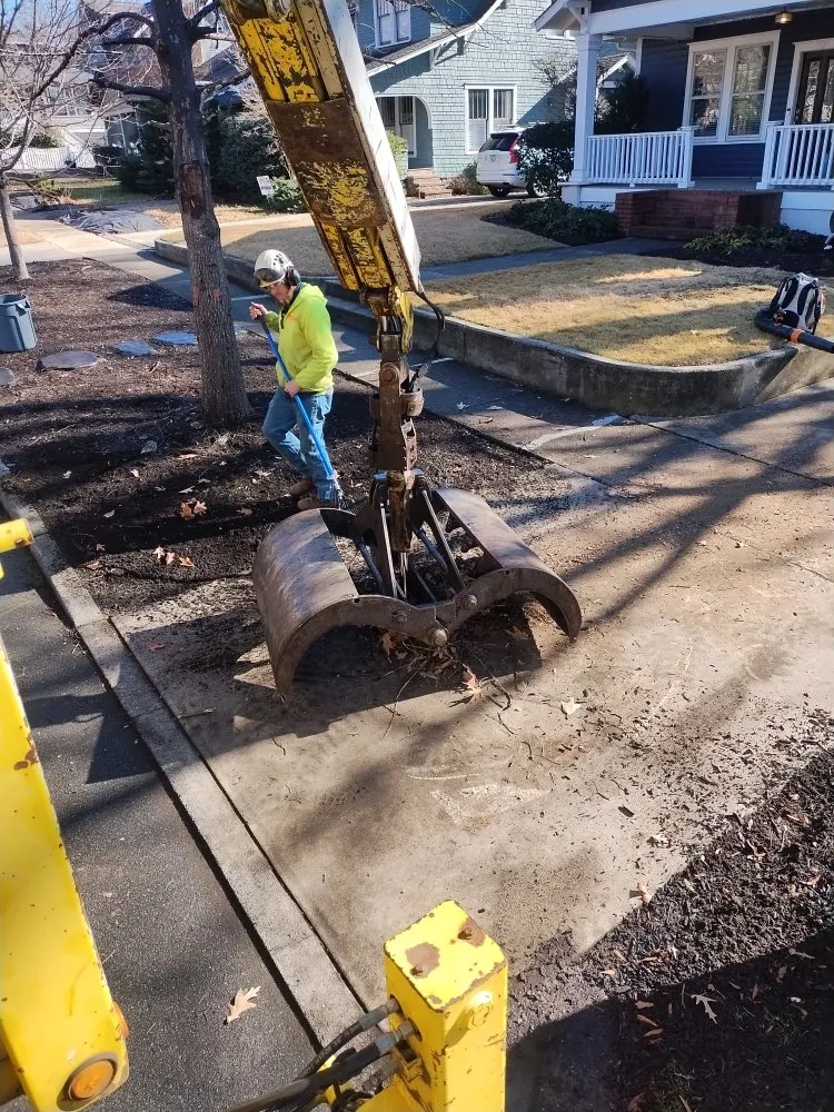 Custom lawn care service for year-round maintenance in Charlotte, NC by Spaulding Tree Service