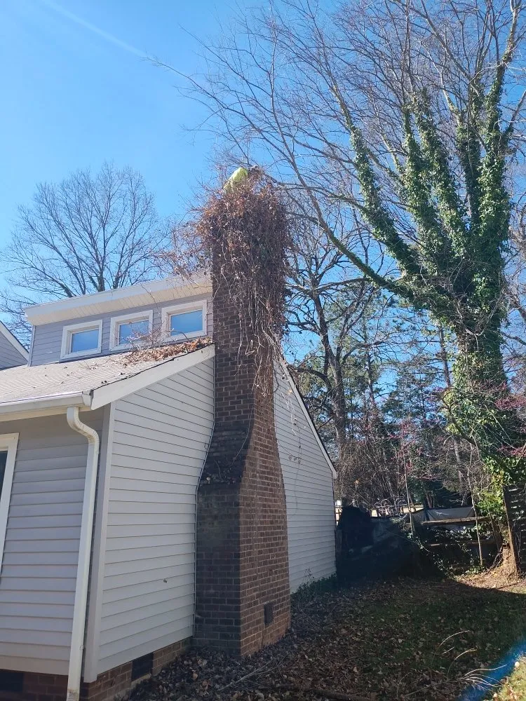 Trusted landscaping services experts serving Charlotte, NC - Spaulding Tree Service