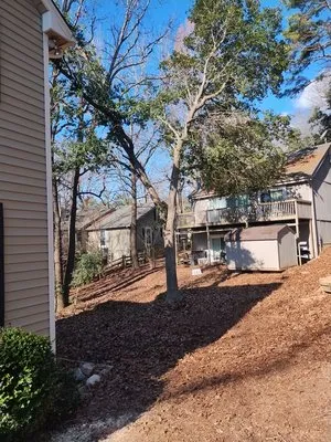 Spaulding Tree Service