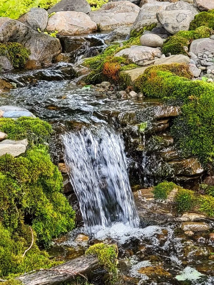 Expert lawn care service near you in Cobleskill, NY by Spaulding Water Gardens and Lawn Care