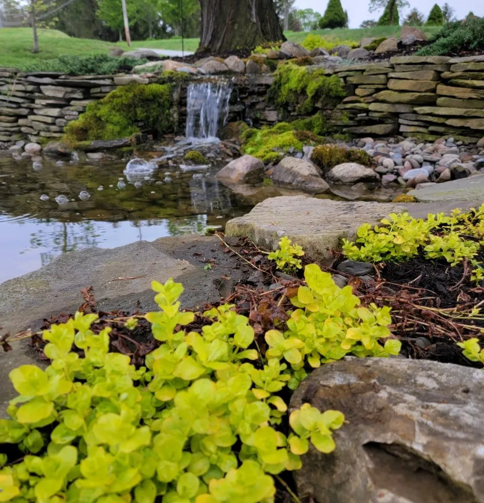 Professional yard cleanup service in Cobleskill, NY by Spaulding Water Gardens and Lawn Care