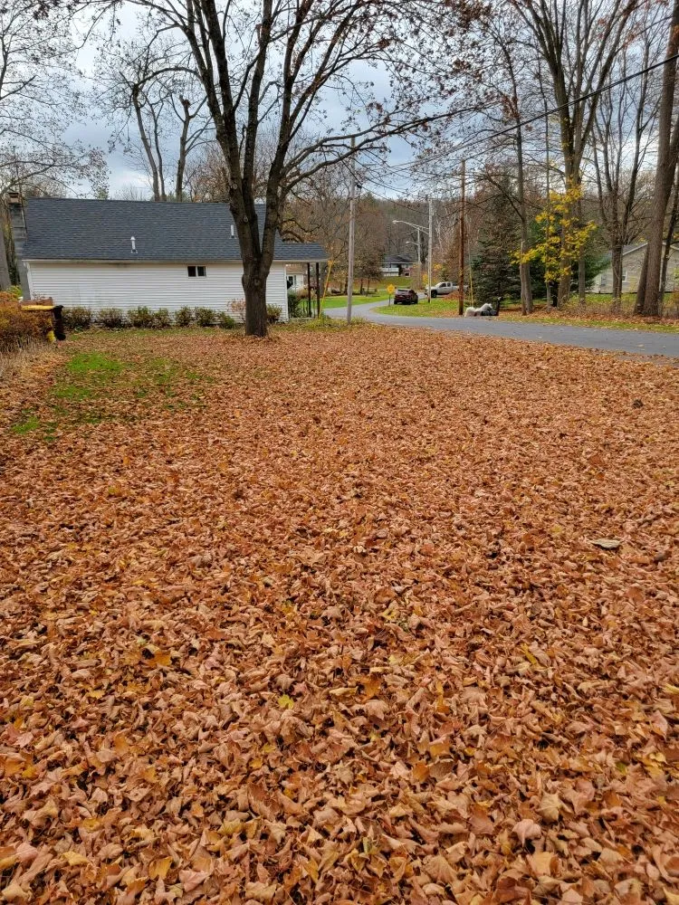 Affordable yard maintenance for year-round maintenance across Cobleskill, NY - Spaulding Water Gardens and Lawn Care