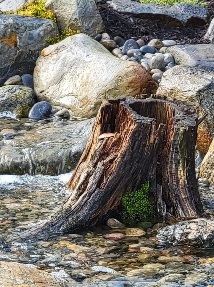 Expert landscape design experts serving Cobleskill, NY - Spaulding Water Gardens and Lawn Care