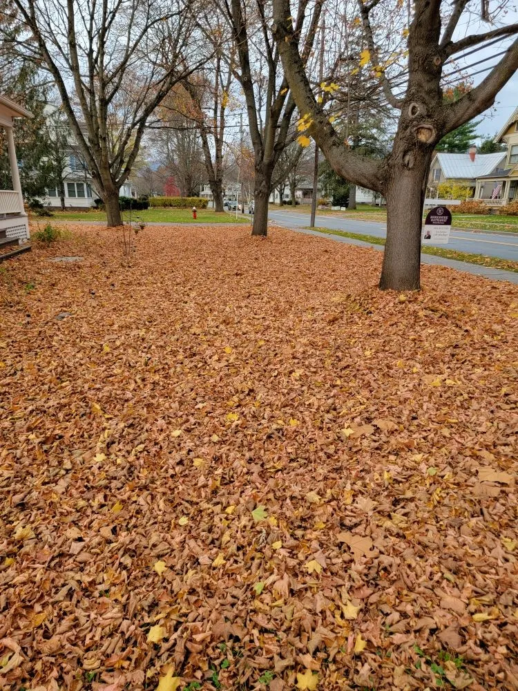 Reliable garden landscaping with custom design across Cobleskill, NY - Spaulding Water Gardens and Lawn Care