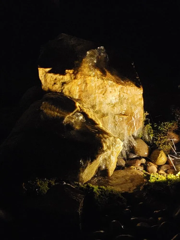 Top-rated lawn care service for beautiful yards across Cobleskill, NY - Spaulding Water Gardens and Lawn Care