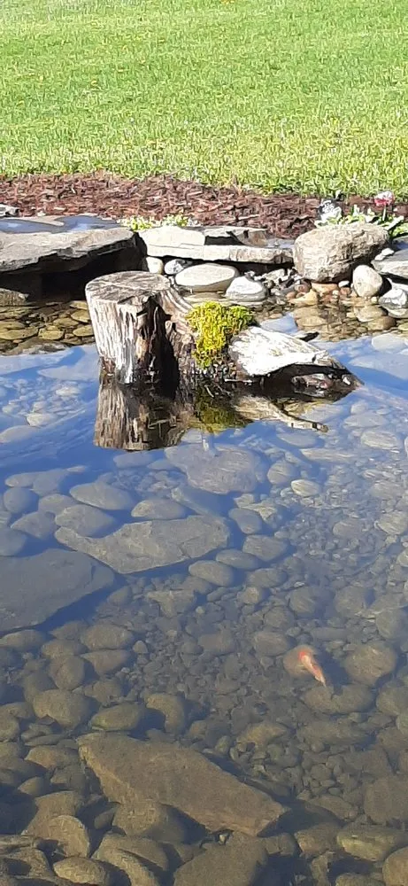 Custom yard maintenance experts serving Cobleskill, NY - Spaulding Water Gardens and Lawn Care