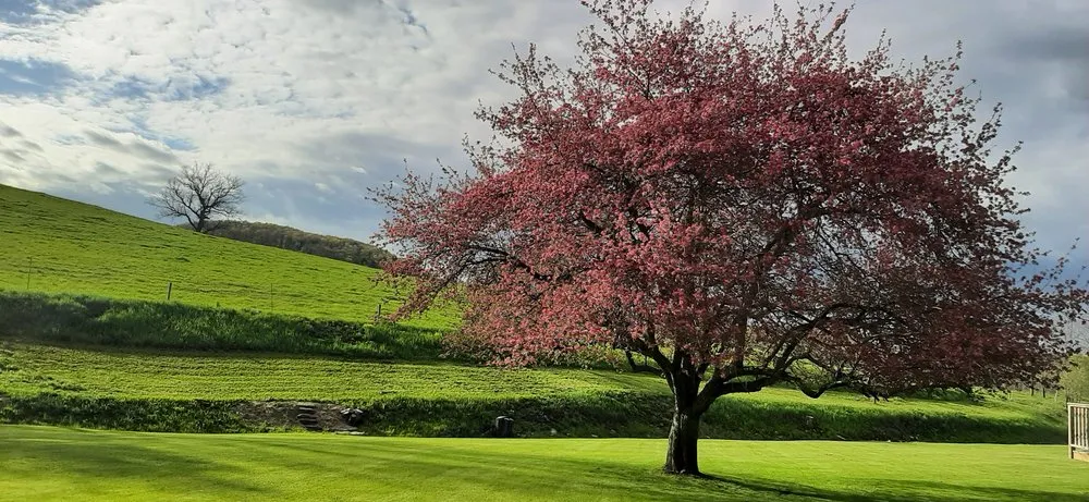 Local outdoor landscaping in Cobleskill, NY - Spaulding Water Gardens and Lawn Care
