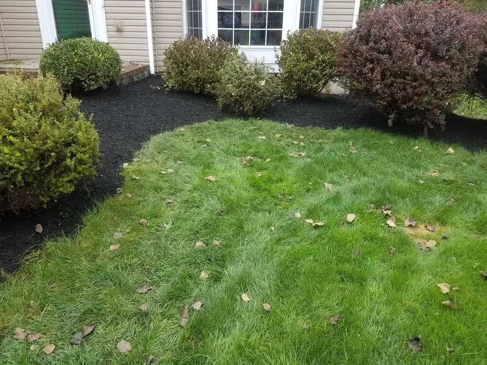 Trusted yard cleanup service in Central Square, NY by Spaulding’s Lawn Care Service