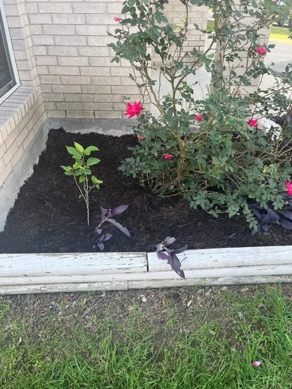 Top-rated lawn mowing service in San Antonio, TX - Spd Lawn Care