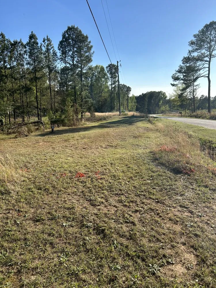 Affordable garden landscaping experts serving Cameron, SC - Speak Life