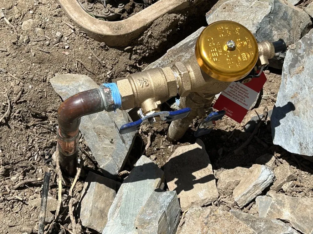 Professional lawn care service for year-round maintenance in Carefree, AZ by Spean's Landscape