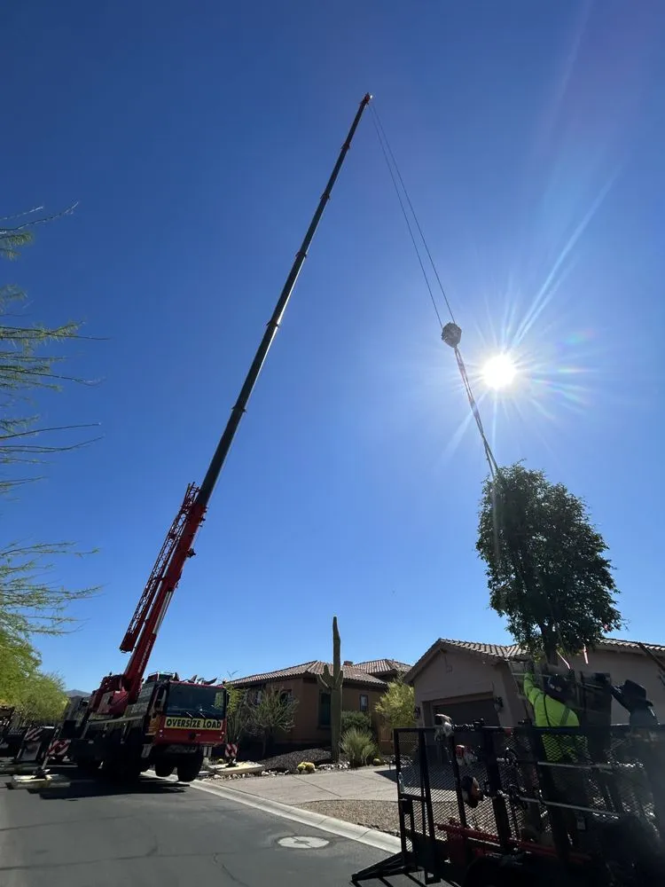 Reliable lawn care service in Carefree, AZ by Spean's Landscape