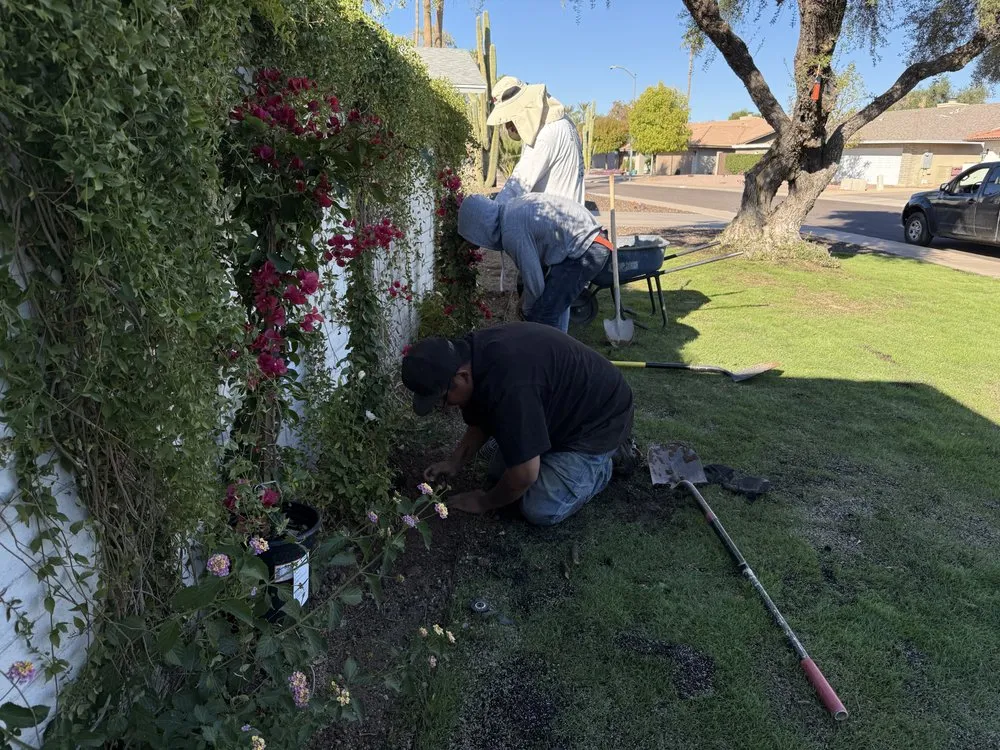 Top-rated yard cleanup service with custom design in Carefree, AZ by Spean's Landscape