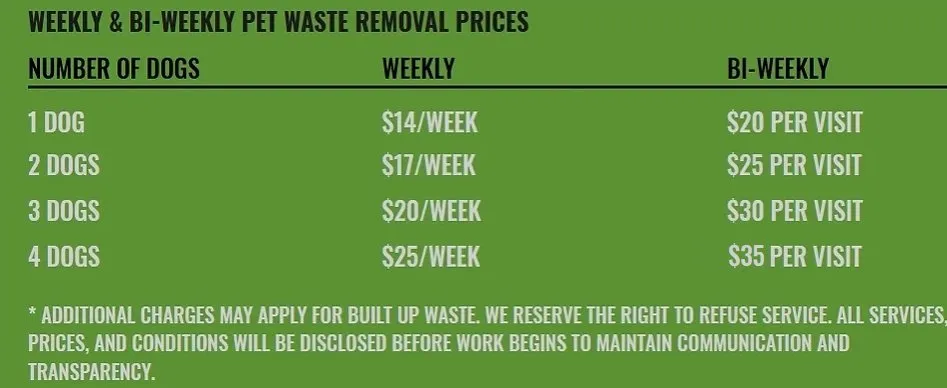 Expert yard maintenance in Evans, CO - Spearhead Property Services