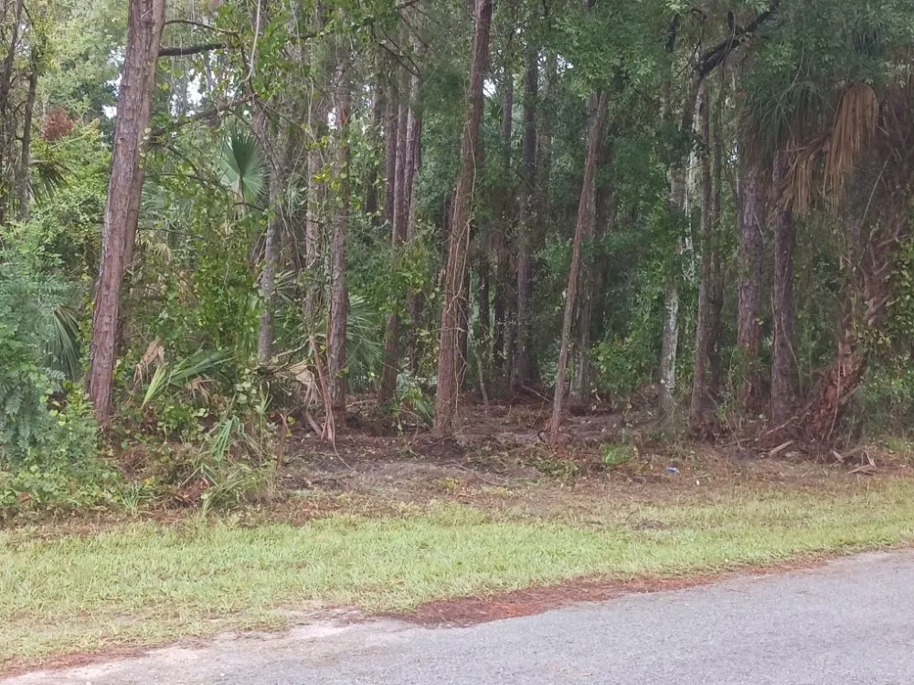 Trusted landscape installation for year-round maintenance in Homosassa, FL by Spearing Site Prep