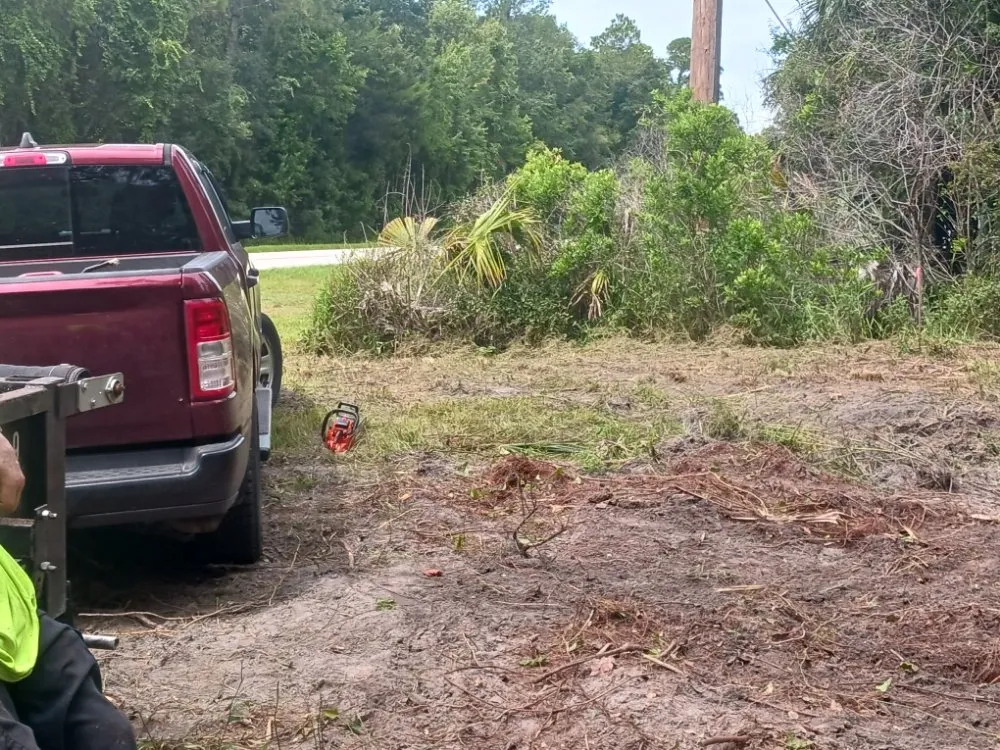 Trusted landscape installation for residential properties across Homosassa, FL - Spearing Site Prep
