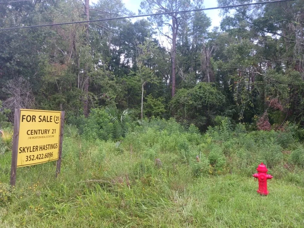 Top-rated residential landscaping experts serving Homosassa, FL - Spearing Site Prep