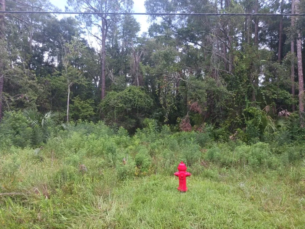 Top-rated landscaping services in Homosassa, FL by Spearing Site Prep