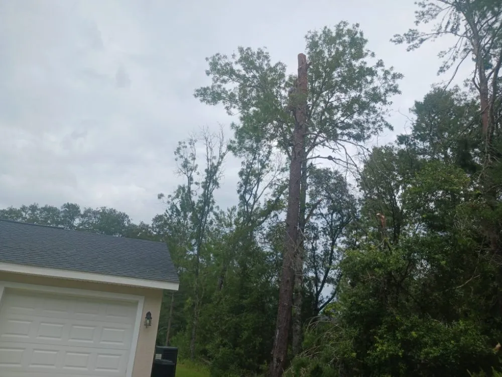 Expert landscape design in Homosassa, FL by Spearing Site Prep