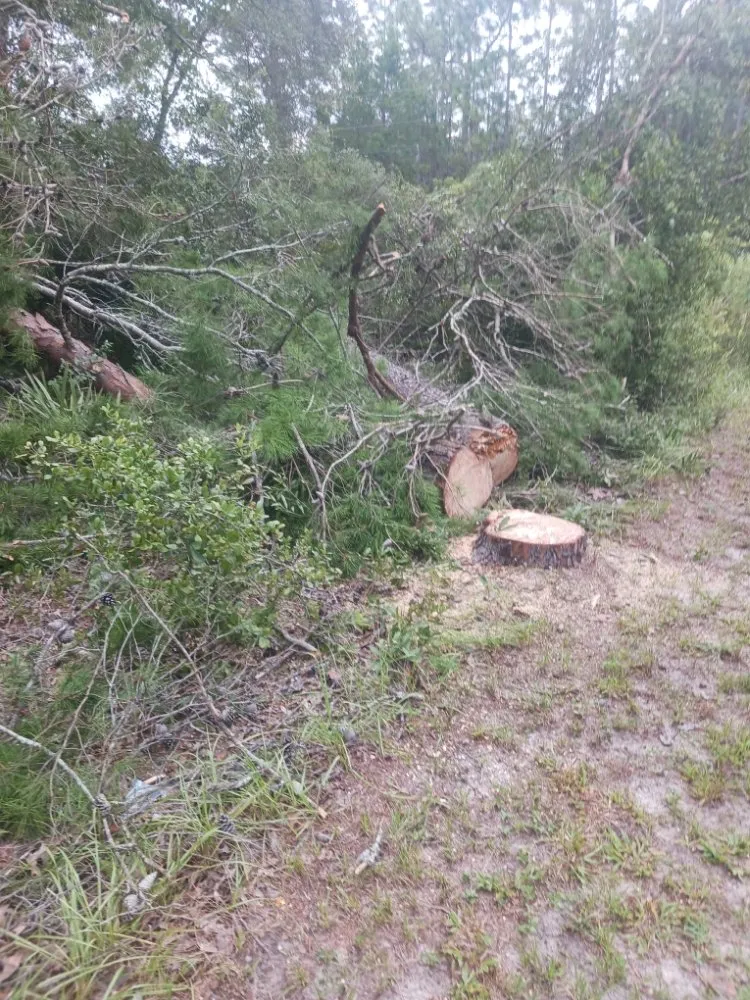 Local lawn care service in Homosassa, FL by Spearing Site Prep