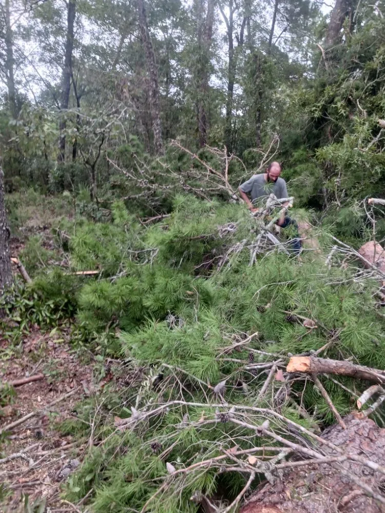 Expert yard cleanup service in Homosassa, FL by Spearing Site Prep