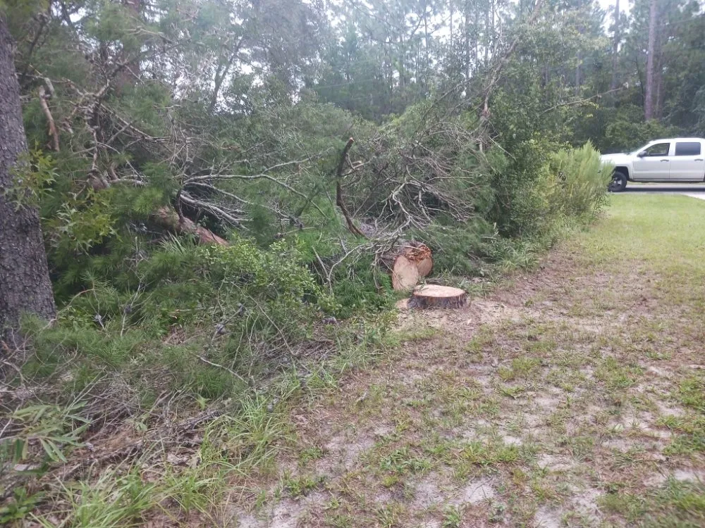 Local lawn mowing service in Homosassa, FL by Spearing Site Prep