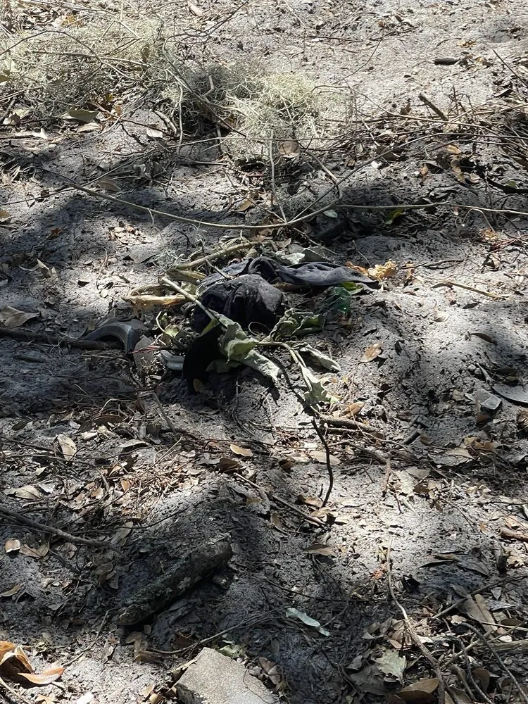 Top-rated residential landscaping for outdoor upgrades across Homosassa, FL - Spearing Site Prep