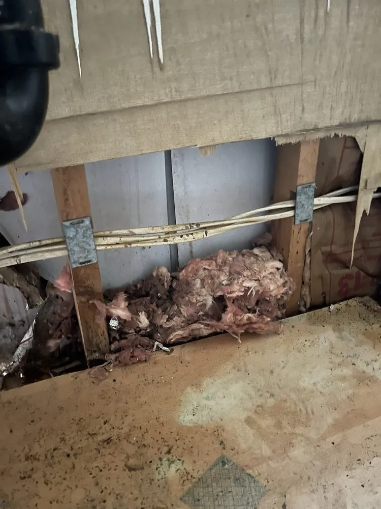 Custom yard cleanup service in Homosassa, FL - Spearing Site Prep