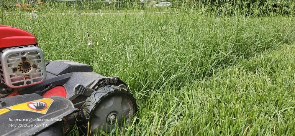 Trusted lawn care service with custom design across Warwick, GA - Spears Outdoor Services