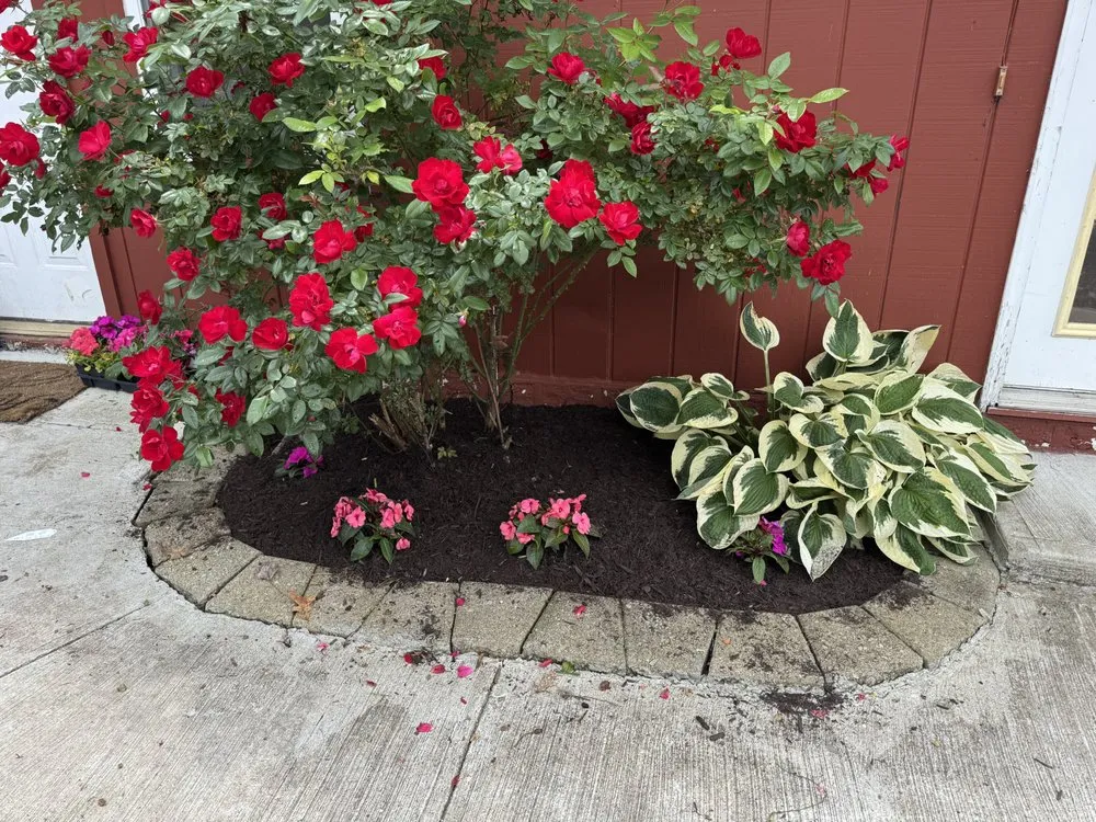 Professional lawn mowing service with custom design across Savona, NY - Spears Rentals