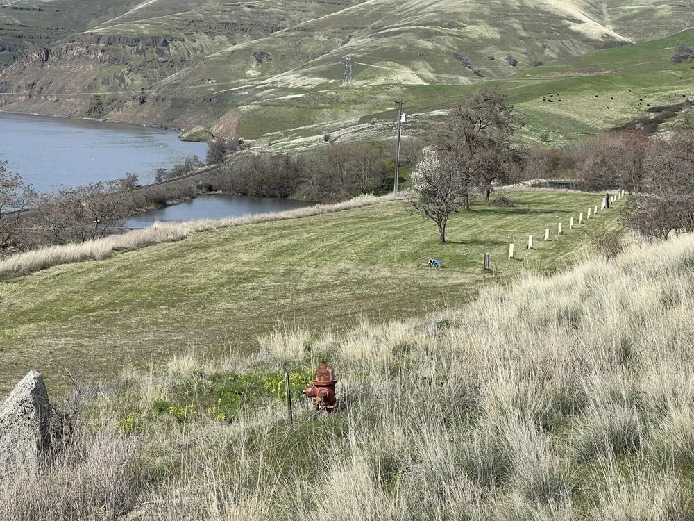 Reliable landscape design experts serving Lapwai, ID - Speas Tractor Solutions