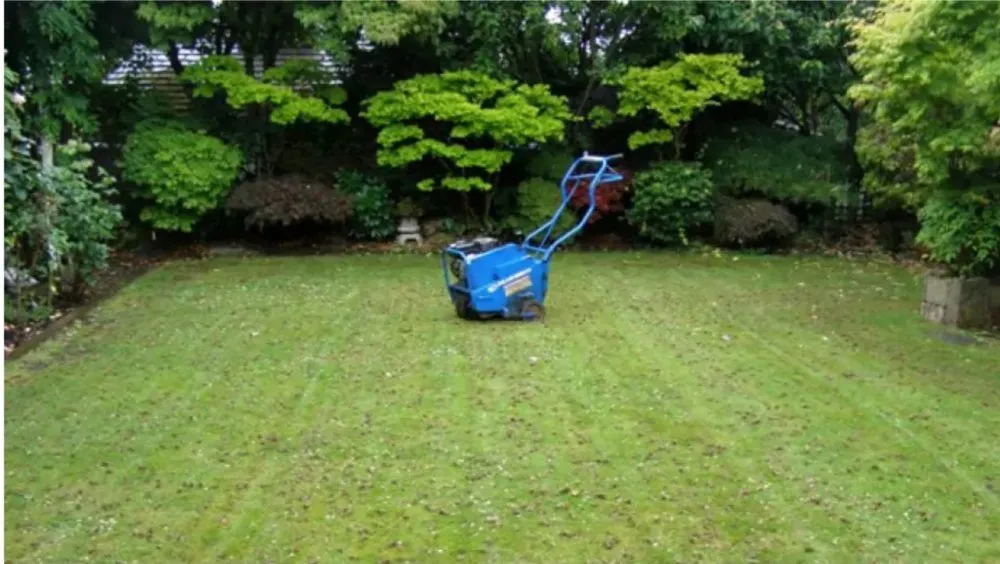 Expert yard cleanup service near you in Berthoud, CO by Spechts Scapes