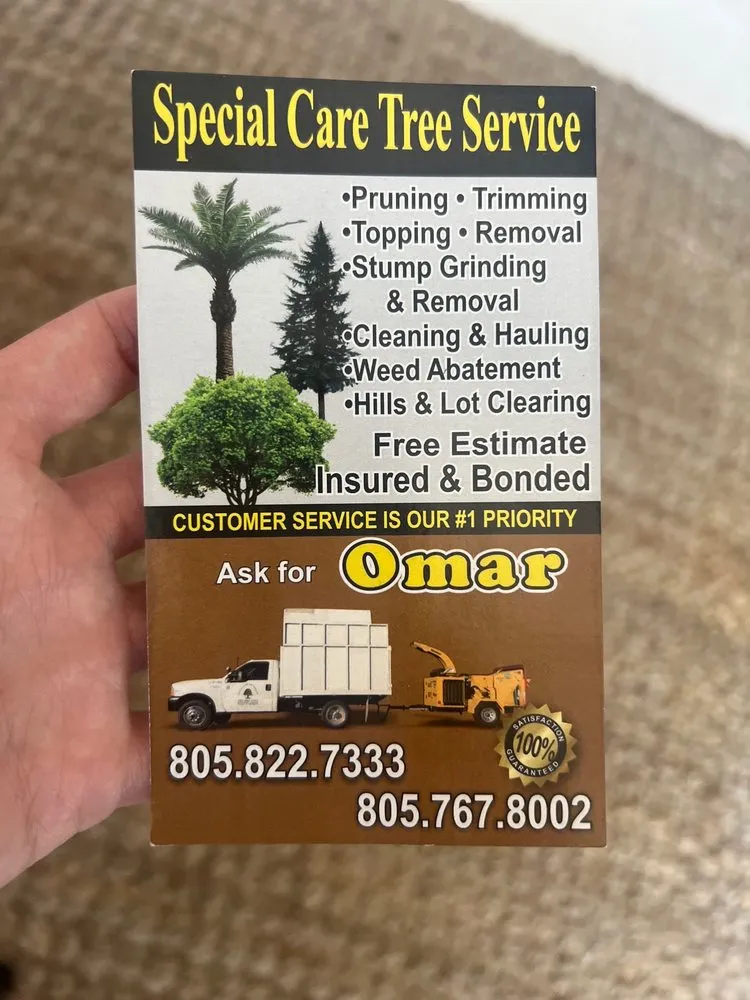 Custom outdoor landscaping experts serving Thousand Oaks, CA - Special Care Tree Service
