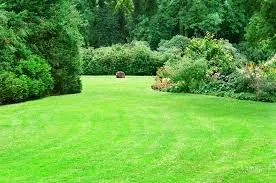 Custom lawn mowing service for beautiful yards across Lehigh Acres, FL - Special Clippings Unit
