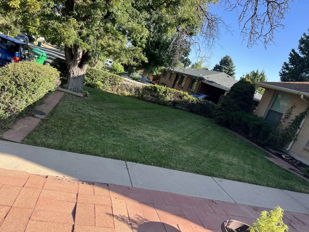 Reliable landscape installation near you across Westminster, CO - Special Clips