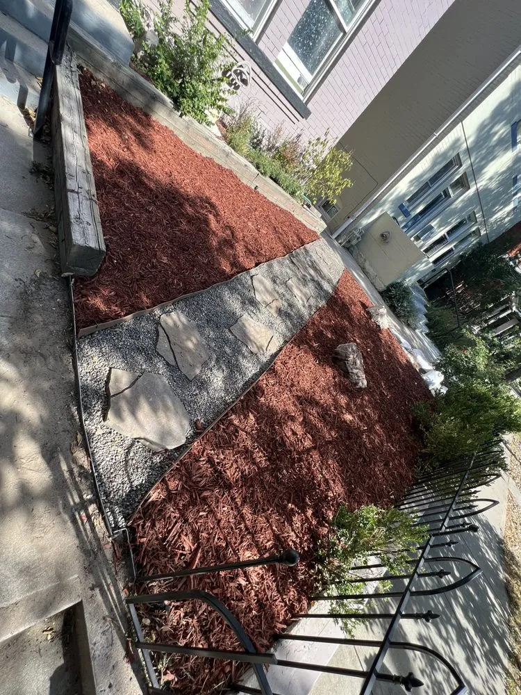 Custom residential landscaping for year-round maintenance in Westminster, CO by Special Clips