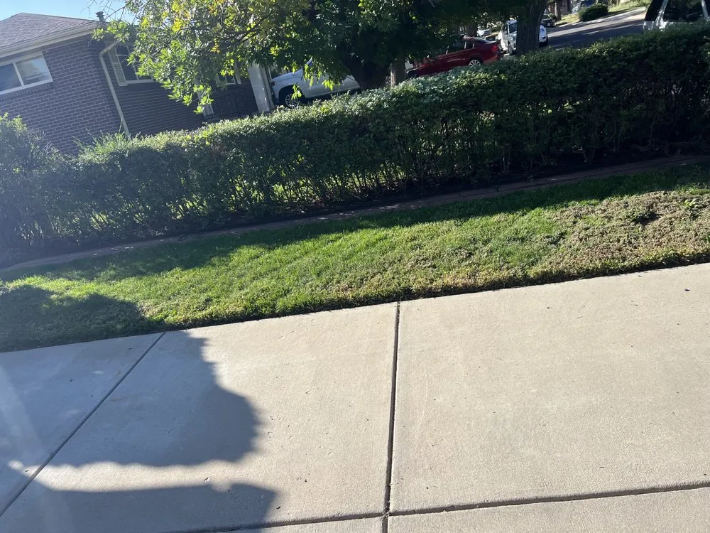 Top-rated outdoor landscaping in Westminster, CO by Special Clips