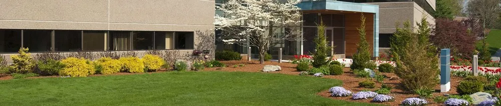 Reliable landscape installation for homes across Calhoun, GA - Special Delivery & Lawn Care