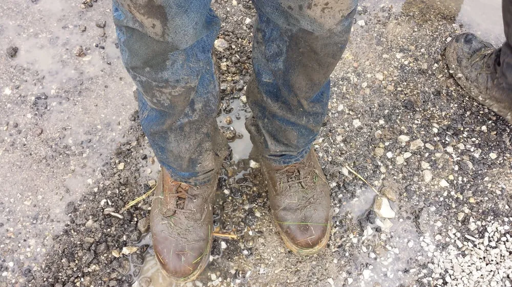 Expert outdoor landscaping in Round Lake, IL by Special Effects Landscaping