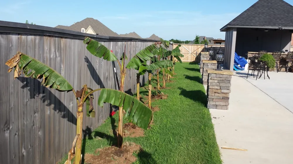 Professional yard cleanup service in Oklahoma City, OK - Special T Landscaping
