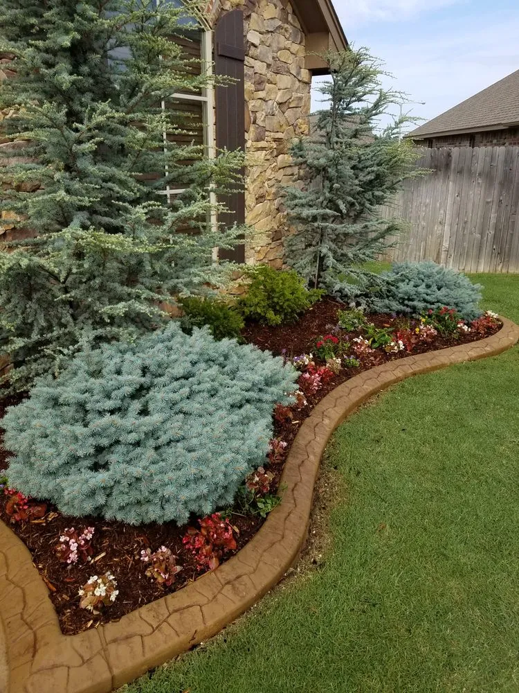 Top-rated yard cleanup service for residential properties in Oklahoma City, OK by Special T Landscaping