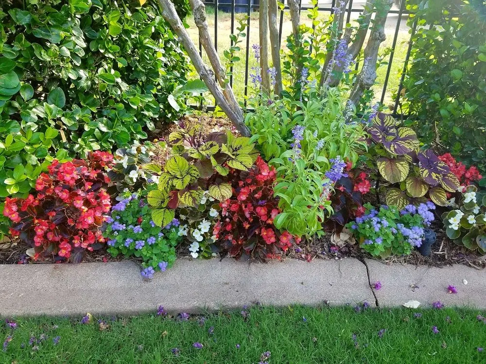 Local garden landscaping near you in Oklahoma City, OK by Special T Landscaping