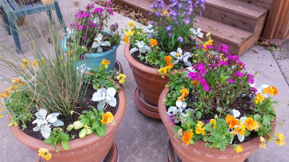 Local residential landscaping in Oklahoma City, OK by Special T Landscaping