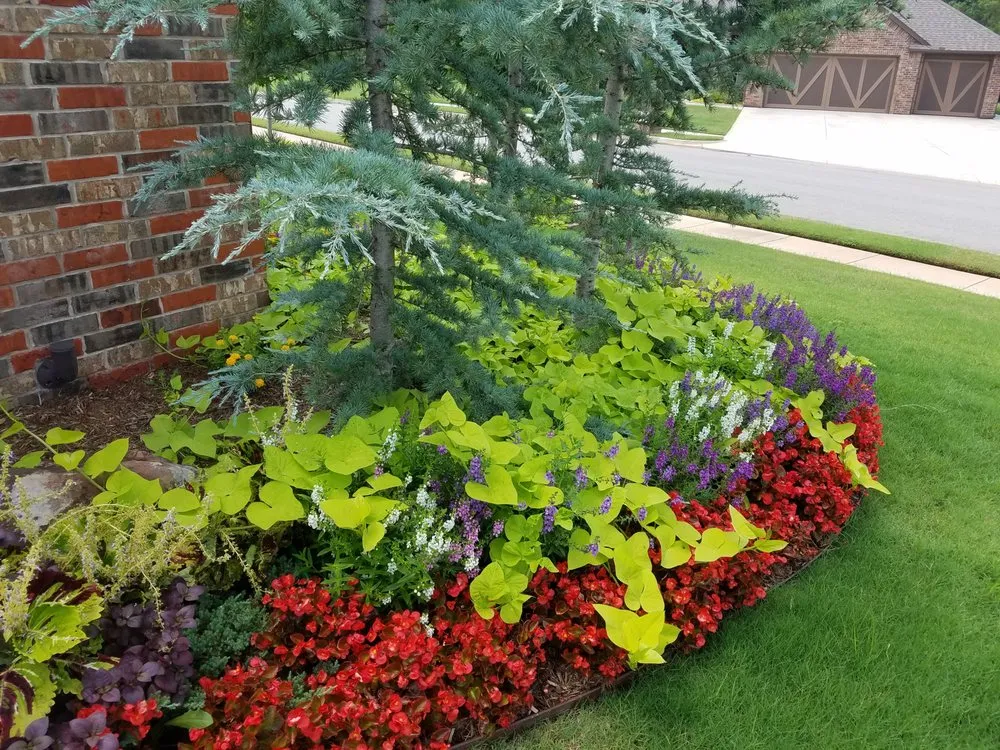 Local landscape installation for beautiful yards across Oklahoma City, OK - Special T Landscaping